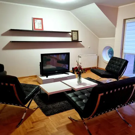 Apartment Branko *